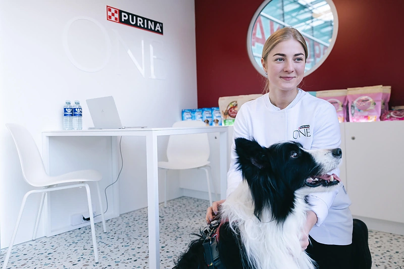 Šlapios nosytės ir vasaros nuotykiai: SOS GYVŪNAI kviečia į vasaros šventę! / „SOS GYVŪNŲ“ nuotr.