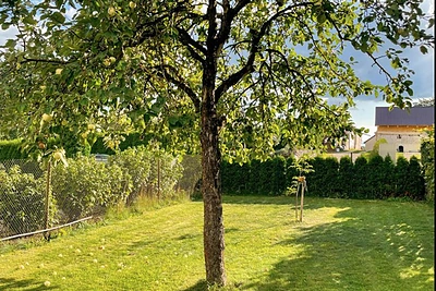 Vilmanto Žilinsko tėvų namas Zarasuose / aruodas.lt nuotr.