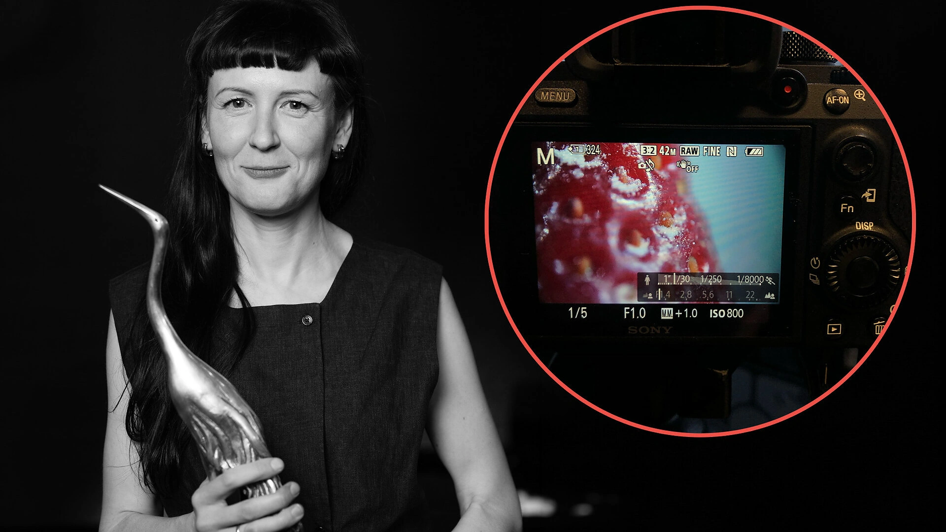 Aistė Žegulytė / Audriaus Solomino nuotrauka