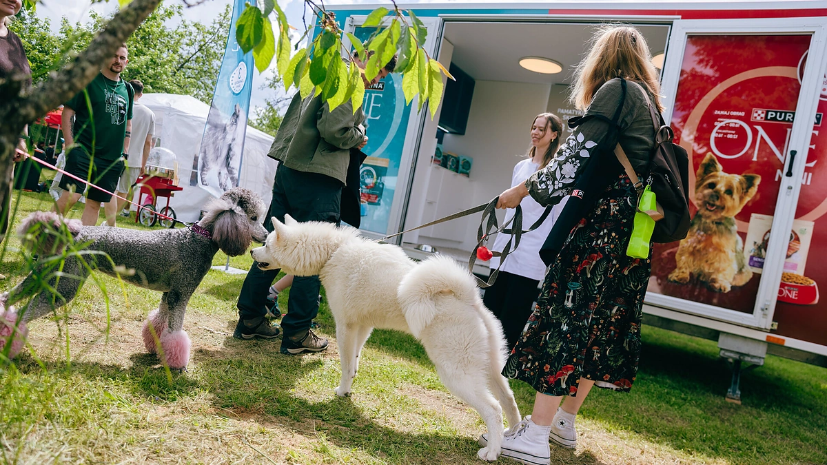 PURINA ir SOS GYVŪNAI subūrė gyvūnų mylėtojus vasaros šventėje / Organizacijos nuotr.