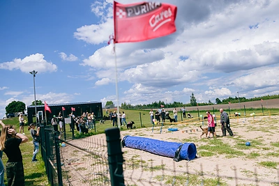 PURINA ir SOS GYVŪNAI subūrė gyvūnų mylėtojus vasaros šventėje / Organizacijos nuotr.