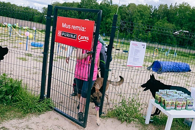 PURINA ir SOS GYVŪNAI subūrė gyvūnų mylėtojus vasaros šventėje / Organizacijos nuotr.