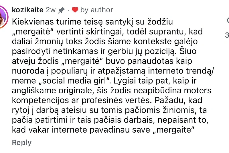 Turinio kūrėjos komentaras / STOP kadras