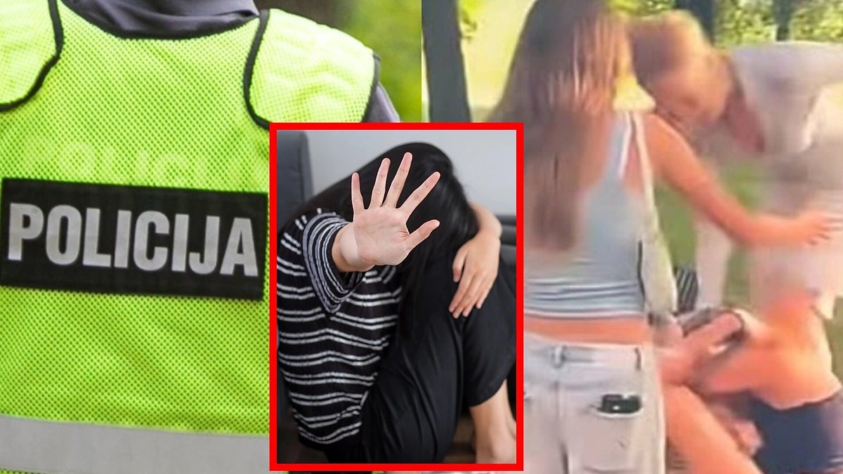 Policija, užpuolimas / BNS, Shutterstock nuotr., stopkadras