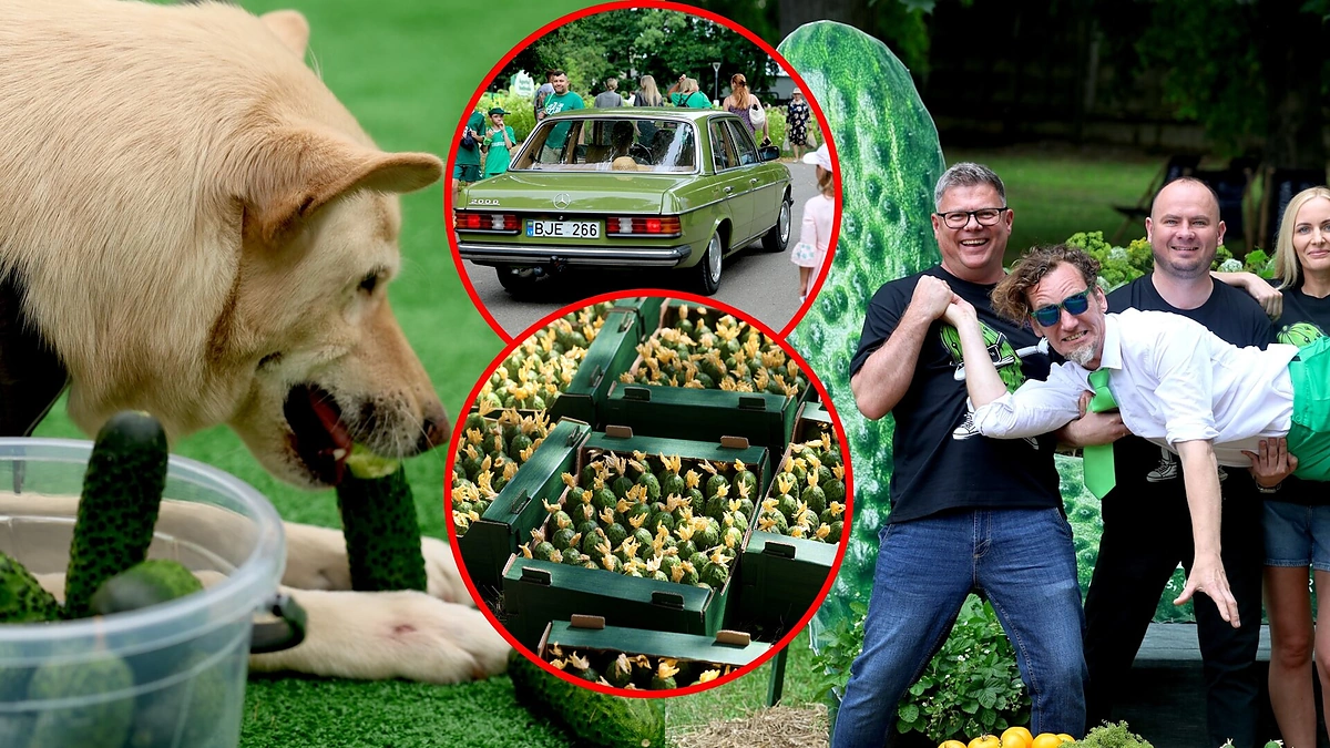 Žaliasis agurkų festivalis Kėdainiuose