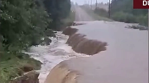 Liūtis Latvijoje