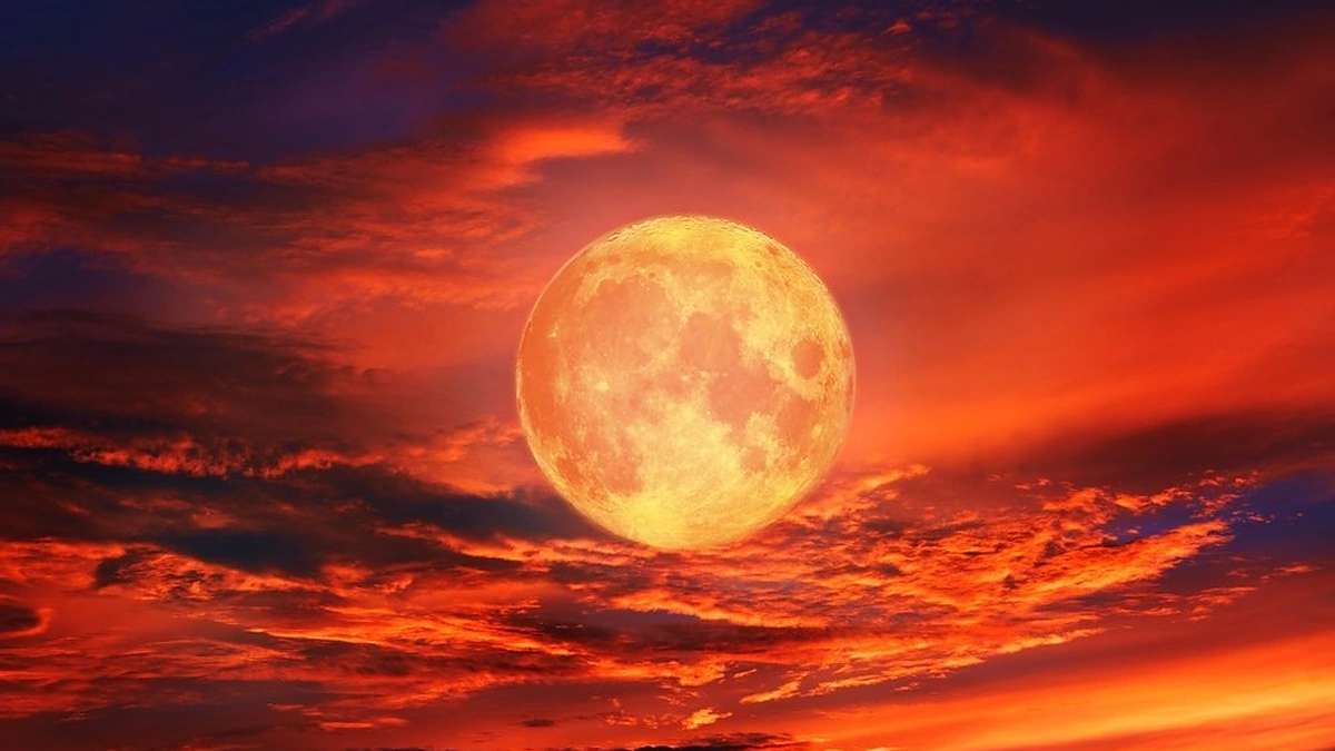 Pilnatis / Shutterstock nuotr.