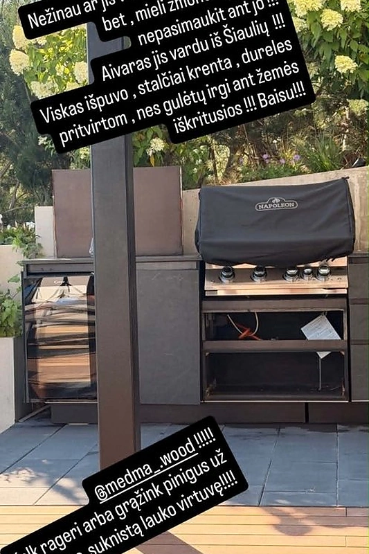 Nijolės Pareigytės-Rukaitienės įrašas