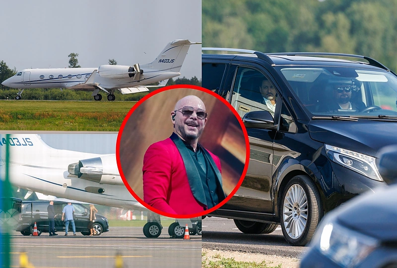 Pitbull / Eriko Ovčarenko (BNS) ir Vida Press nuotr.