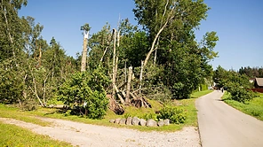 Pirmadienis Vilniaus raj. po audringo savaitgalio