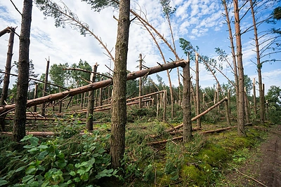 Audra pridarė daug žalos Druskininkų savivaldybėje / Druskininkų savivaldybės administracijos nuotr.
