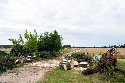 Audra pridarė daug žalos Druskininkų savivaldybėje / Druskininkų savivaldybės administracijos nuotr.
