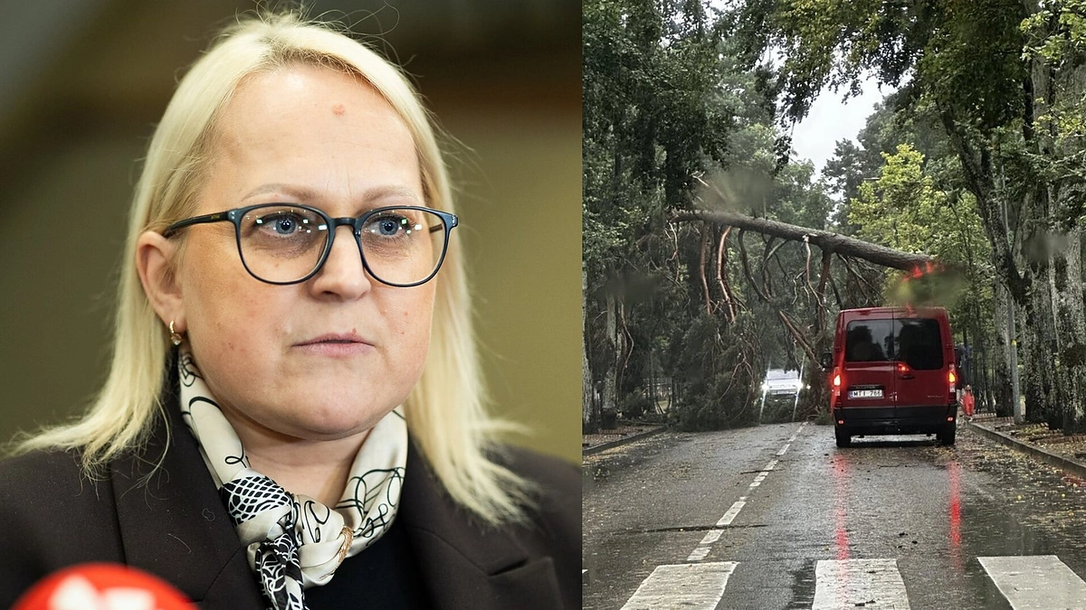 Ligita Girskienė, audra / Aurimo Karnejevo ir BNS nuotr.