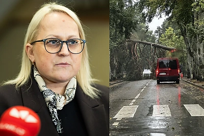Stichija smogė ir Seimo narei Ligitai Girskienei