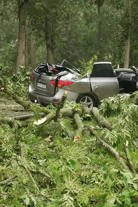 Akademijoje suniokotas automobilis / Rinkos aikštė/skaitytojos nuotr.
