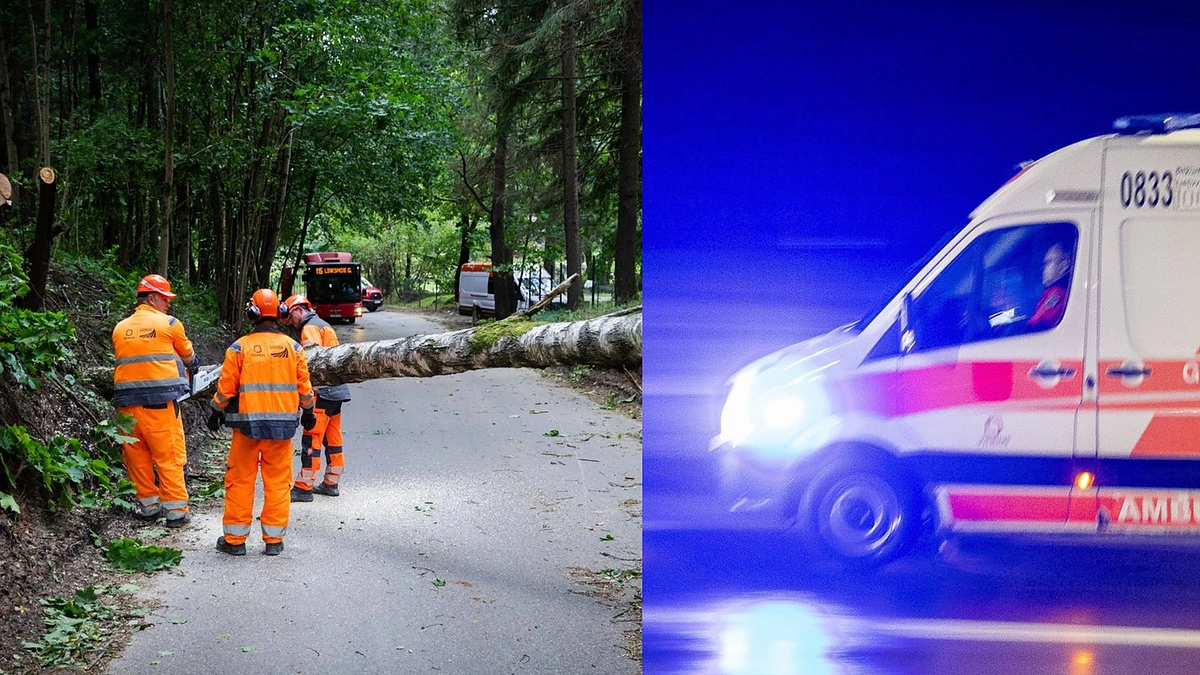 Automobilis partrenkė ugniagesius / Roberto Riabovo ir Irmanto Gelūno nuotr.