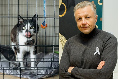 Juodeikai pakėlus triukšmą dėl negautos katės – prieglauda nutraukė tylą: pasakė, kaip yra iš tiesų