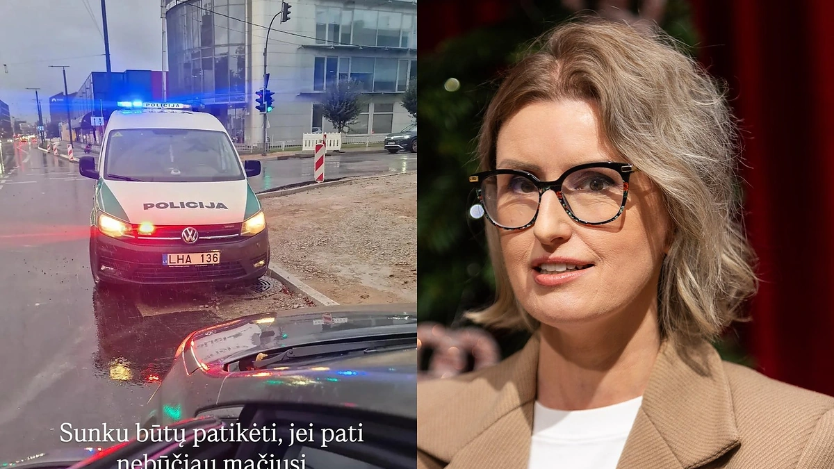 Vaida Kurpienė / BNS nuotr. ir STOP kadras