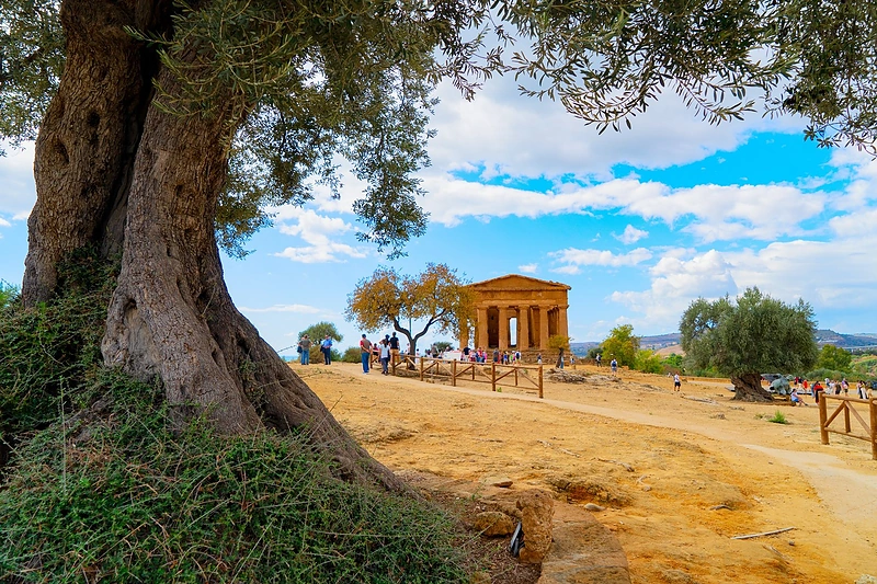 Sicilija, Agridžento šventyklų slėnis / Shutterstock nuotr.