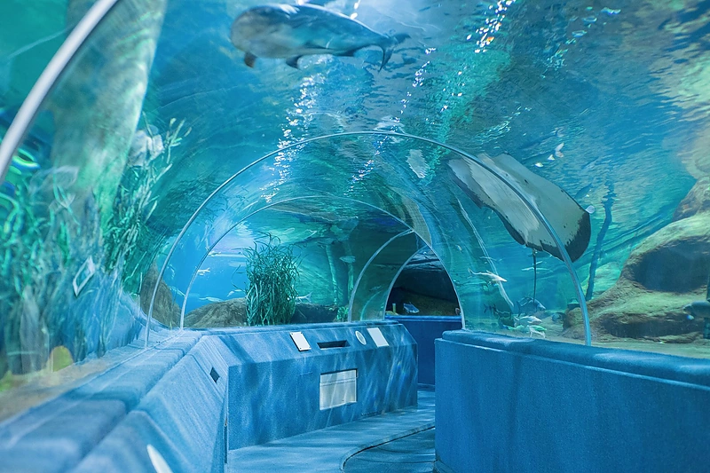 „Aquarium“ / „Kopaturas" nuotr.